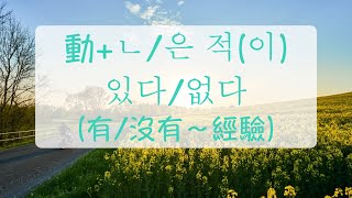 韓語文法 沒看過下雪 動ㄴ은 적이 있다 없다（表示經驗的有無）韓文教學 韓文句子 自學韓文 韓語學習 [upl. by Assyn489]