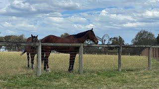 living legends park Greenvale Victoria [upl. by Grimona]