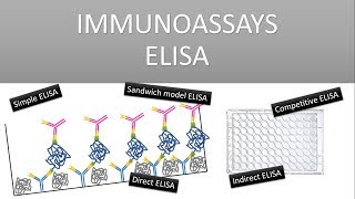 The Principle of Immunoassays ELISA Enzyme Linked Immunosorbent Assay [upl. by Abert]