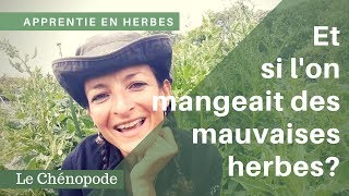 Cette mauvaise herbe des potagers est un légume [upl. by Oribel]