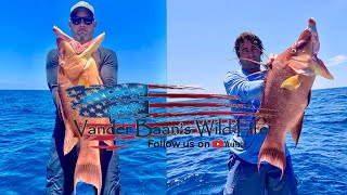 HUGE HOGFISH Catch Clean and Cook  in Lemon Butter A Team Effort [upl. by Henrie333]