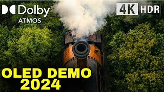 2024 OLED DEMO Showcase Dolby Atmos Revolutionizes NextGen TV Sound oled [upl. by Still]