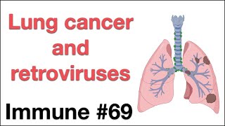 Immune 69 Lung cancer and retroviruses [upl. by Alessandra]