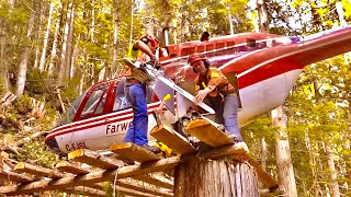 Epic Helilogging skills  The BEST Aircrane footage yet  working with Dad [upl. by Casey]