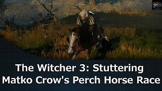 The Witcher 3 Stuttering Matko Crows Perch Horse Race [upl. by Ellienad]