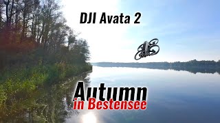 DJI Avata 2  Autumn in Bestensee near Berlin [upl. by Ellezig]