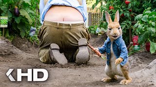 quotI Am Gonna Put The Carrot In Therequot Scene  Peter Rabbit 2018 [upl. by Nibur]