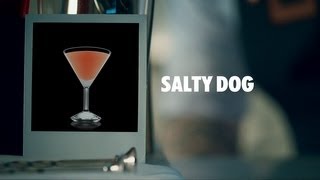 SALTY DOG DRINK RECIPE  HOW TO MIX [upl. by Goar562]