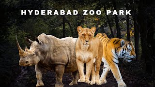 Nehru zoological park  Hyderabad zoo park  day in a zoo park [upl. by Shaun924]