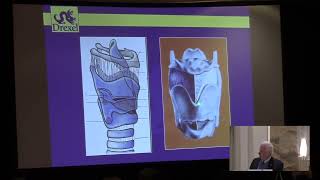 2023 Tutorial Anatomy and Physiology of Phonation An Overview – Robert T Sataloff MD [upl. by Bein]