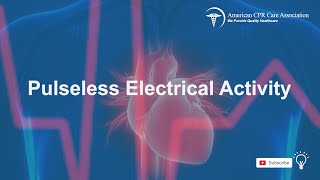 Chapter 11 Pulseless Electrical Activity  American CPR Care Association [upl. by Jocko]