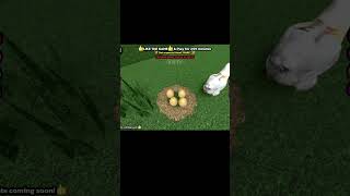 ROBLOX CHICKEN TRENDroblox robloxedit chicken robloxchanllenge [upl. by Luci]