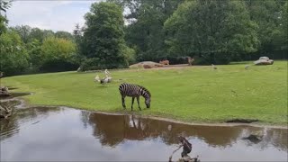 Tierpark Cottbus [upl. by Jolanta176]