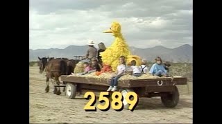 Sesame Street  Episode 2589 1989  FULL EPISODE [upl. by Eidorb170]