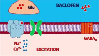 Baclofen  Mechanism side effects precautions and uses [upl. by Carrie]