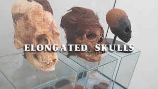 Elongated Skulls [upl. by Okiek]