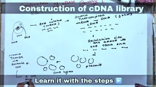 cDNA library ll biology ll [upl. by Wolliw]