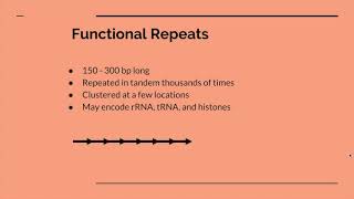 BSCI222 Human Genome  Repetitive DNA [upl. by Danieu]