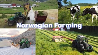 Farming in the fjords of Norway From snowplowing to silage Osterøy [upl. by Brandt]