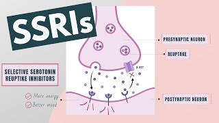 Selective Serotonin Reuptake Inhibitors SSRIs  Indications mechanism side effects [upl. by Relyuhcs]