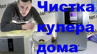 Как сделать чистку кулера Чистка и промывка мойка кулера для воды в домашних условияхCoolerWater [upl. by Agni]