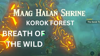 MAAG HALAN SHRINE KOROK FOREST THE LEGEND OF ZELDA BREATH OF THE WILD [upl. by Enellij]