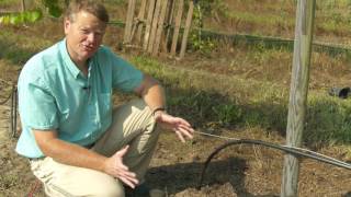 Isons Nursery How to Setup a Drip Irrigation System [upl. by Atinej]