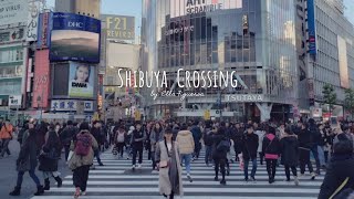 a day in my life in japan shibuya crossing hachiko and shibuya 109 at SHIBUYA STATION TOKYO JAPAN [upl. by Nybor]