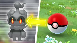 How to Get Marshadow in Pokémon GO [upl. by Lolanthe837]