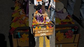 Tompkins Square park Halloween Dog Parade 2024 [upl. by Epp99]