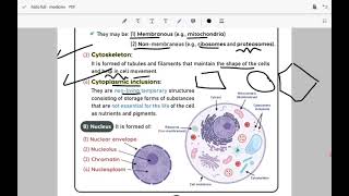 histology 11 cytology  cell membrane [upl. by Annaik]