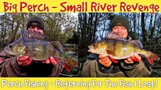 Big Perch  Small River  Returning For The Fish I Lost Video 212 [upl. by Teresita]