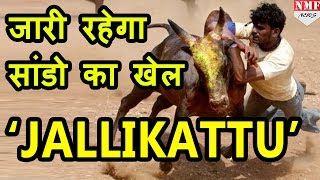 Tamilnadu को MODI का GIFT सांडों के खेल JALLIKATTU से हटाया BAN [upl. by Shaum]