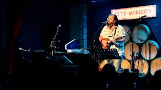 Steve Earle  The Galway Girl live  City Winery New York [upl. by Ocnarf]