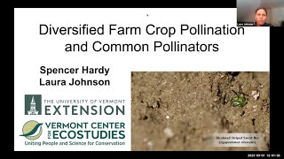 Diversified Farm Crop Pollination and the Common Pollinators [upl. by Adnylam714]