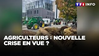 Agriculteurs  nouvelle crise en vue  ｜TF1 INFO [upl. by Maximilien]