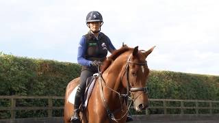 Training the Young Horse for Eventing  Introducing a young horse to a course [upl. by Eelannej]