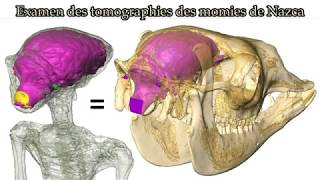 Dissection virtuelle des momies de Nazca Alien Project [upl. by Enaamuj]