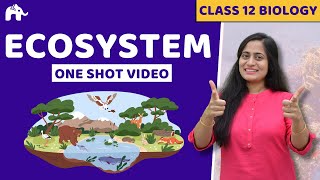 Ecosystem Class 12 One Shot  Biology NCERT Chapter 12  CBSE NEET [upl. by Tine]