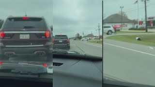 Thibodaux police officer shoots kills dog [upl. by Atnahc384]