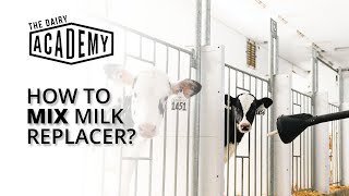 How to mix milk replacer [upl. by Aissatsana]