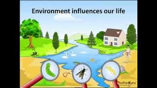 Science  What are Biotic and Abiotic Components of the Environment  Hindi [upl. by Aysahc]