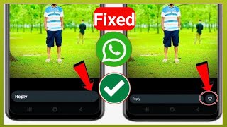 whatsapp new update  How to Fix WhatsApp Status Like Button Option Not Showing [upl. by Onirotciv]