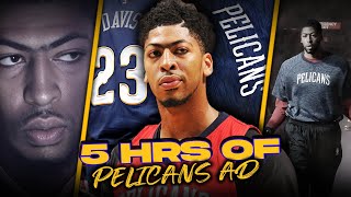 5 Hours Of Anthony Davis Rise To SUPERSTARDOM As a Pelican 201516  201617 Seasons [upl. by Eluj]