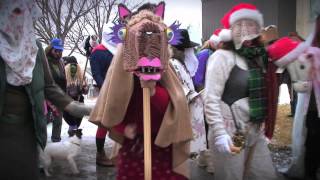 The Mummers Parade  St Johns Newfoundland and Labrador [upl. by Nibroc]