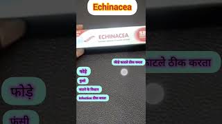 Echinacea ointment homoeopathic in Hindi for wound boil insect biteburn antiseptic cream shorts [upl. by Frankel]