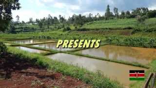 HOW TO FERTILIZE YOUR FISH POND [upl. by Billmyre]