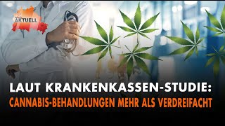 Laut KrankenkassenStudie Cannabis Behandlungen mehr als verdreifacht [upl. by Loy]