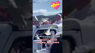 Mengagumkan Merpati Putih Turun Menyertai Perjalanan Paus Fransiskus 🕊️ [upl. by Neural695]