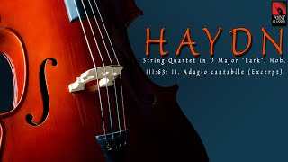 Haydn String Quartet in D Major quotLarkquot Hob III63 II Adagio cantabile Excerpt [upl. by Oniskey53]